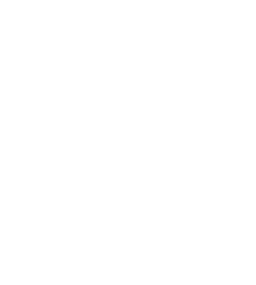 Barebone Logo