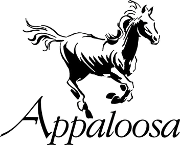 Appaloosa Mgmt